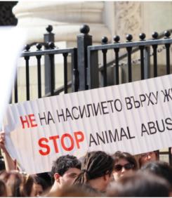 А протести за оставка на незаконния кабинет? Май не е толкова важно