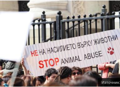 А протести за оставка на незаконния кабинет? Май не е толкова важно
