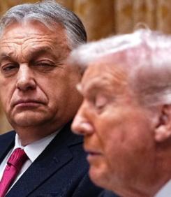 Да повикаме Орбан за "особен управител" на държавата