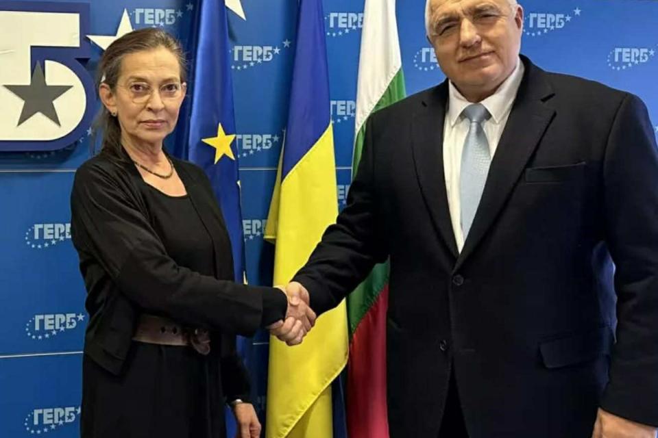 АФЕРАТА "Борисов и германската посланичка". Избухва ли война между двете момчета